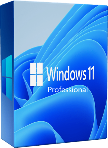 Microsoft Windows 11 Professional / aktywacja online / klucz produktu