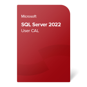 Microsoft SQL Server 2022 Standard 50 User CAL / aktywacja online / klucz produktu