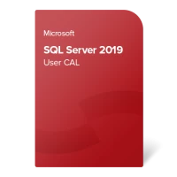 Microsoft SQL Server 2019 Standard 10 User CAL / aktywacja online / klucz produktu