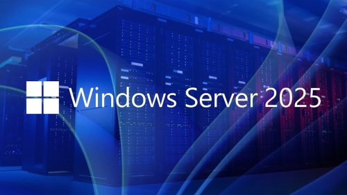 Microsoft Windows Server 2025 RDS 50 Użytkowników / aktywacja online / klucz produktu